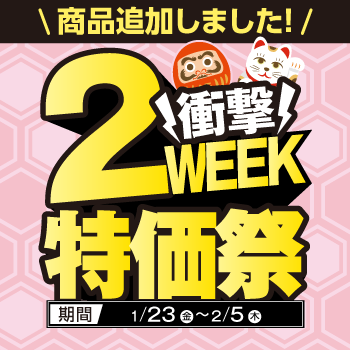 2WEEK������