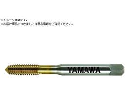 } R[eBO[^bv R+V G8 M5X0.8 P R+V-G8-M5X0.8-P