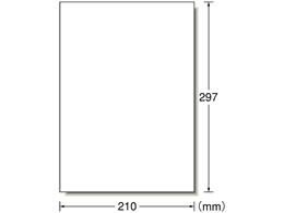 G[ [U[px A4 m[Jbg ɋ^Cv 100