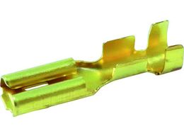 ���u�e�b�N�X �d���^-�~�i�� 100�� F11F F11F