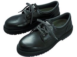 ~hS pS2wSC LRT910ubN 23cm