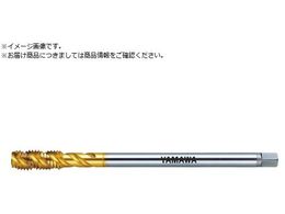 } OpXpC^bv LS-F-SP L100 P2 M5X0.8 LS-F-SP-F-P2-100-M5X0.8