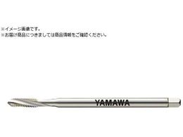 } OޗpXpC^bv LS-PM-SP L100 P3 M6X1 LS-PM-SP-F-P3-100-M6X1