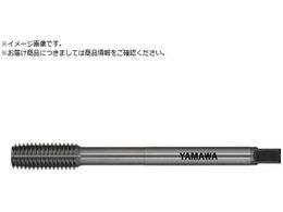 } OSp[^bv LS-N-RS L100 G7 M6X1 P LS-N-RS-F-G7-100-M6X1-P