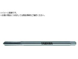 } OVNdnh^bv LS-N-CT L100 P3 M6X1 1.5P LS-N-CT-P3-100-M6X1-1.5P