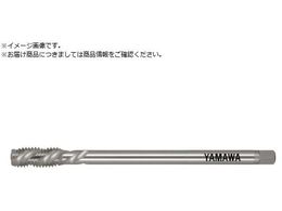 } OXpC^bv ˂p LS-SP LH L150 P2 M12X1.5 LS-SP-LH-P2-150-M12X1.5