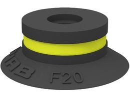 sAu TNVJbv F20.10 01 01 129 F20.10