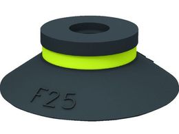 sAu TNVJbv F25.10 01 01 131 F25.10