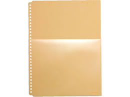 LOW n[t|Pbg A4^e 30  10 108HP-Y