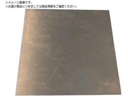 TRUSCO Vv[g S 0.1~100~100mm SISPC0.1-100-100