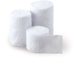 ���{�q�� �V�F���^�C(R)�E�z���C�g(�L�k���)3�� 10���� 61-8510-21