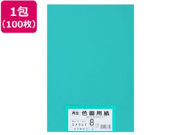 �剤���� �Đ��F��p�� 8�c��100�� �G�������h