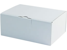 X}C ͂z S(226~165~95mm) 10 747738