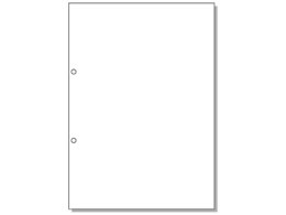 qTS }`v^[ A4  2 100 BP2001