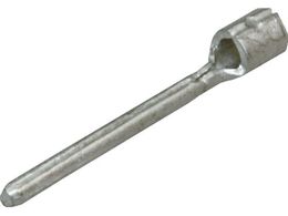 �j�`�t �������[�q TC�` 100P TC 2-20