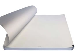 ���΂� �S�d�}�p�L�^�� 25-3868-08 CQW210-10-295(5�T�c)