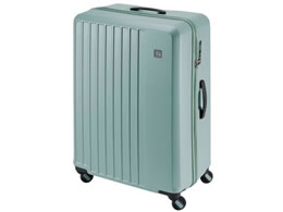 Gh[ LIEVE 4փL[ 68cm ~gO[ 1-253 MG