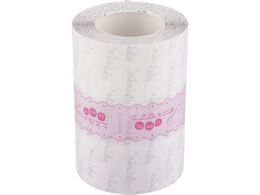 skinix �G�A�E�H�[���ӁE��E��(�h���b�V���O�t�B����)100mm�~12m 7-3292-07