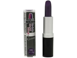 WC `[~[}WbNbv 06p[v magiclip06