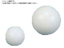 tP~J tbf PTFE  9.52 NR0308-003