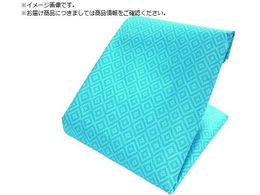 TRUSCO a݃V[g 5.4mX7.2m ^[RCYu[