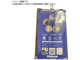 V[Yt@Ng[ u{̏vJpE萠EƎԗp