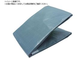 TRUSCO 1NV[g 3.6mX5.4m O[ TP1-3654GY