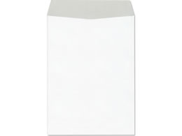 Ȃ p2 100 XQP520
