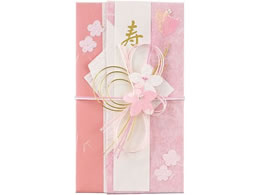 �}���A�C �V���� 573 �s���N �L�[573P