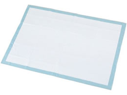 �f�B�X�|�z���E�h���V�[�c 1200�~900mm 1��(10����) 7-6389-02