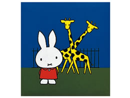 iJoV tGAo S S[hC䎆 ~btB[ R