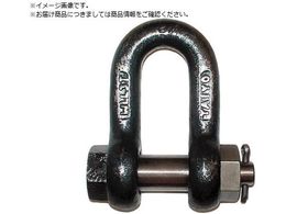 TAIYO TAIYO�V���b�N��M �� SB-6 1015429 TSB-6