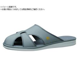 ~hS ÓdT_ PS-01CgS OC S PS-01LS-GY-S