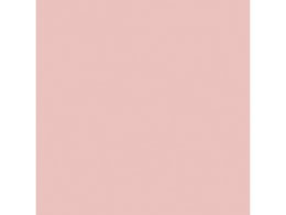 �剤���� �Đ��F��p�� 8�c��10�� �������� CUD