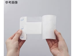 �j�g���Y �D���p�[�~�p�b�h(�p�b�h�t�t�B�����h���b�V���O)100�~210mm 1��(20����) 8-8465-05