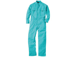 Ka@Ȃ@XJCu[@XOOO|QOU