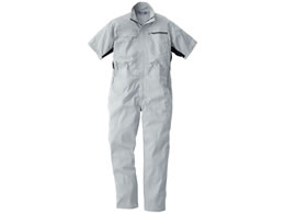 Ka@Ȃ@Vo[O[@RXOPV|QQ