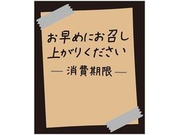 wCR[ ^bNx 30~25 No.804 ߂ N 120