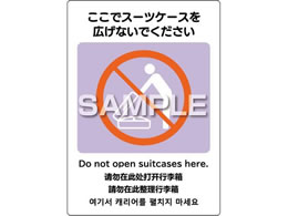 qTS ͂s^OXebJ[ X[cP[XLȂ 2