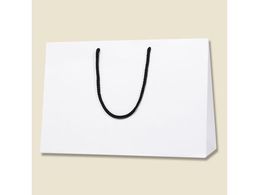 wCR[ 񂰎 uCgobO 45-13  MT 10