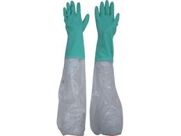 rjX^[/rJo[t rjX^[rJo[t t[