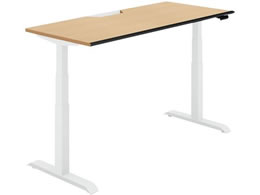 RN V[NGX \tg Fo[W1600 i`I[N W