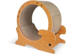 ybgv HappyDays LbgjO}V S