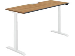 RN V[NGX \tg o[W1800 XeBbN~fBA W