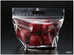 pbNX^C `bNt X^h M  500