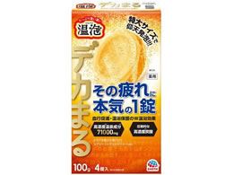 A[X A fJ܂ GiW[VgXWW[ 4