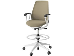 �C�g�[�L �m�i�`�F�A �n�C�|�W�V���� �Œ�I �E���^���L���X�^�[ WH SYL