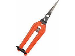 �ߐ� �E���g�����C�g TP-530