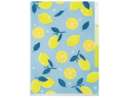 ~h 3|PbgNAz_[ A5 A 35567006