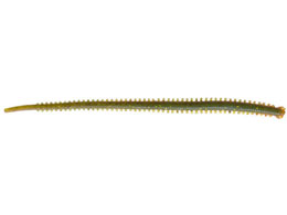 sAtBbVO BKL G G2SQC\אg4-AOISOME-C